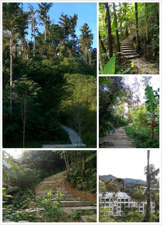 Strawberry Cameron Highlands