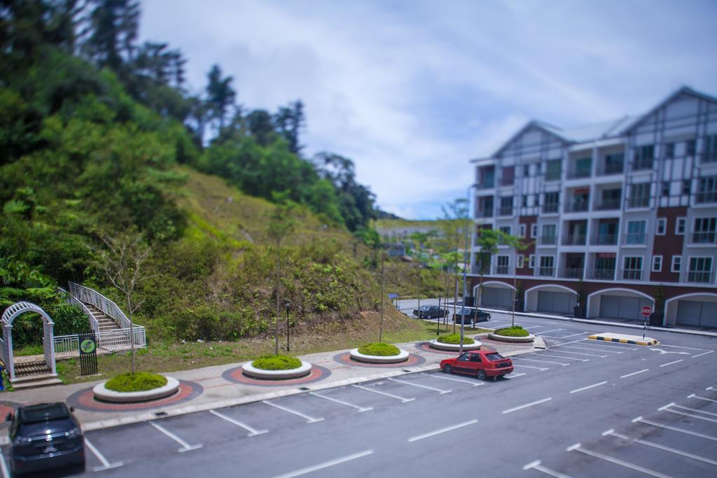 Strawberry Cameron Highlands